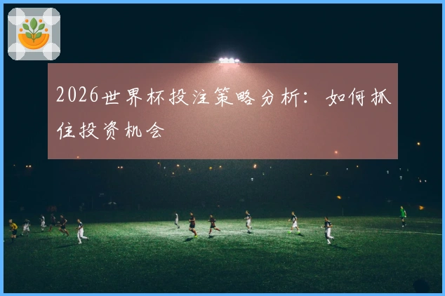 2026世界杯投注策略分析：如何抓住投资机会