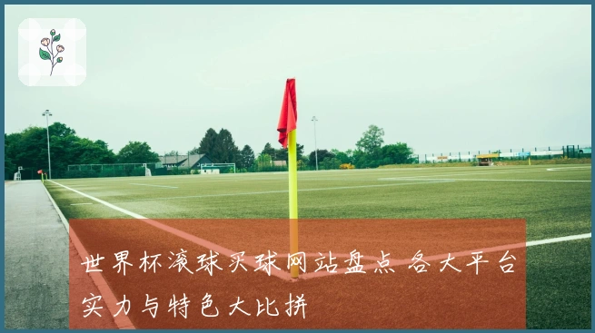 世界杯滚球买球网站盘点 各大平台实力与特色大比拼