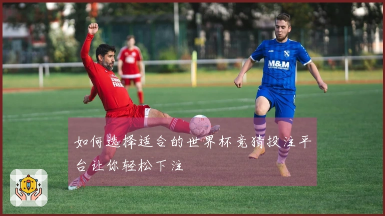 如何选择适合的世界杯竞猜投注平台让你轻松下注