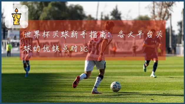 世界杯买球新手指南：各大平台买球的优缺点对比