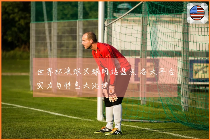 世界杯滚球买球网站盘点 各大平台实力与特色大比拼