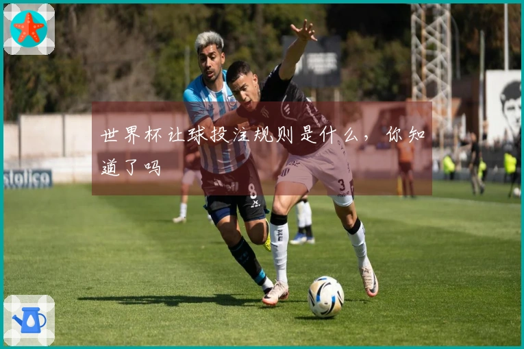 世界杯让球投注规则是什么，你知道了吗