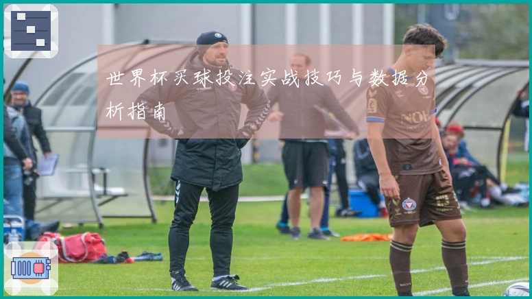 世界杯买球投注实战技巧与数据分析指南