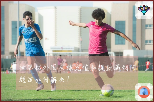 世界杯外围买球充值和提款遇到问题该如何解决？