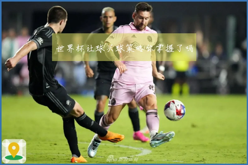 世界杯让球买球策略你掌握了吗