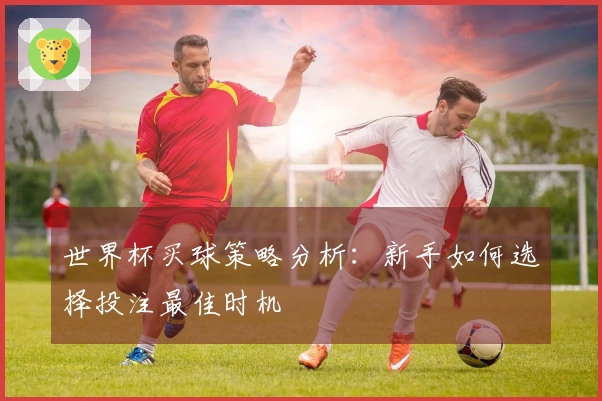 世界杯买球策略分析：新手如何选择投注最佳时机