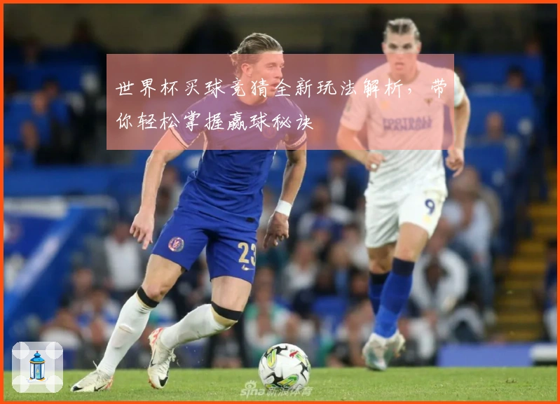 世界杯买球竞猜全新玩法解析，带你轻松掌握赢球秘诀