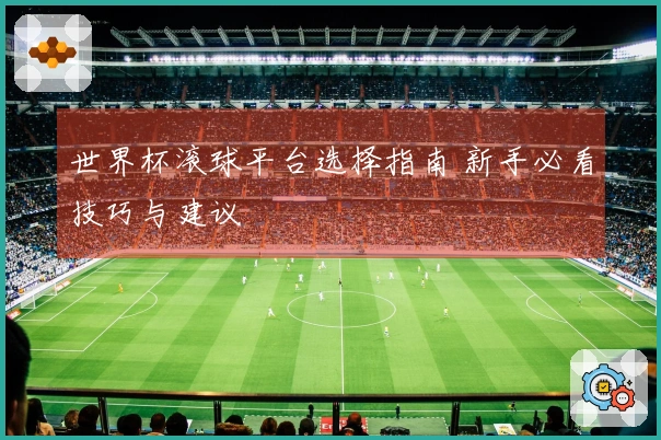 世界杯滚球平台选择指南 新手必看技巧与建议