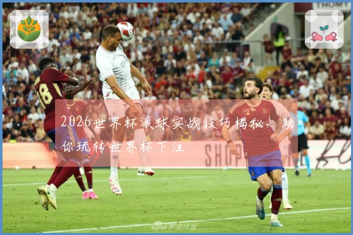 2026世界杯滚球实战技巧揭秘，助你玩转世界杯下注