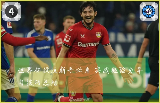 世界杯投注新手必看 实战经验分享与技巧总结