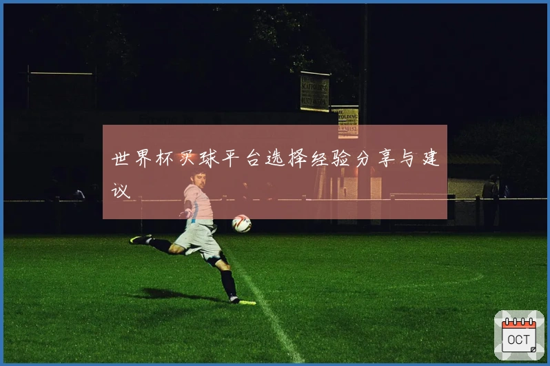 世界杯买球平台选择经验分享与建议